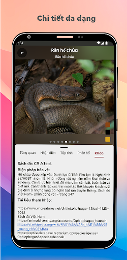 Tra cứu rắn - Snake Identification Camera Feature