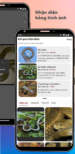 Tra cứu rắn - Snake Species Listing Screen